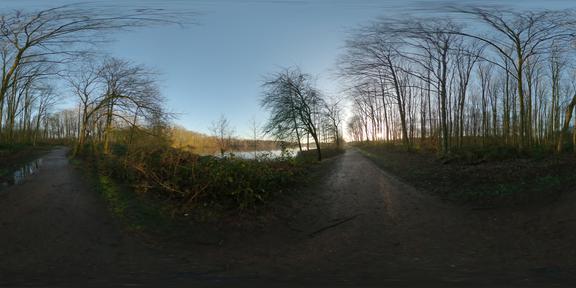 lake,tree,sunrise,framevr_ready