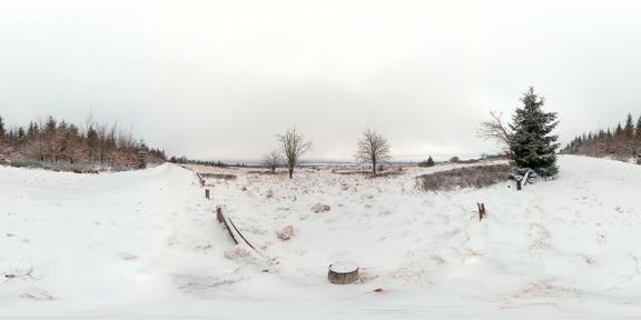winter,nature,snow,tree,cloudy,framevr_ready