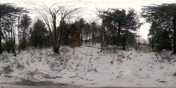 winter,nature,snow,tree,cloudy,framevr_ready